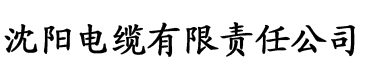 91香蕉视频播放器电缆厂logo